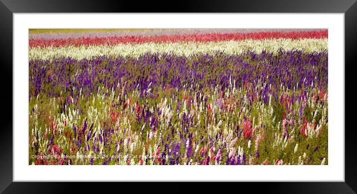 Sunlit Delphinium Flower Field Framed Mounted Print by Simon Johnson