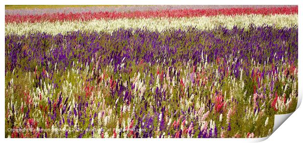 Sunlit Delphinium Flower Field Print by Simon Johnson