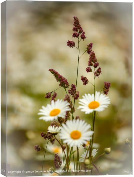 Cotswolds Grass and Daisies Canvas Print by Simon Johnson