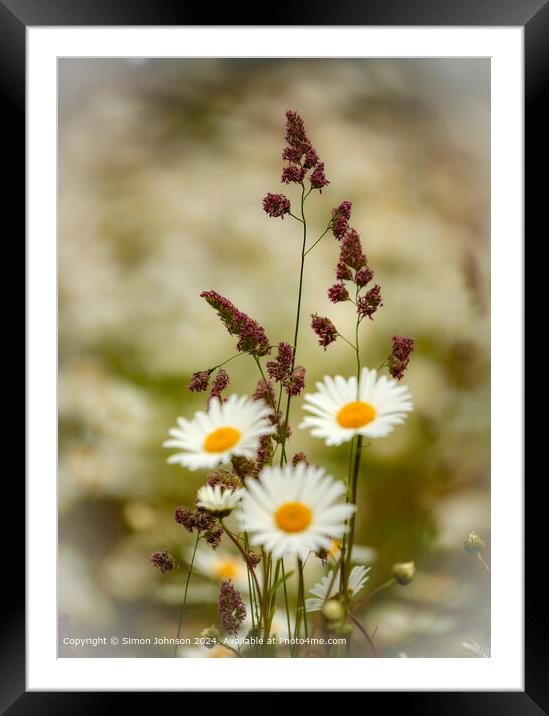 Cotswolds Grass and Daisies Framed Mounted Print by Simon Johnson