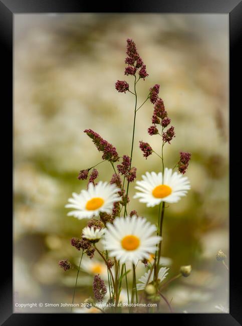 Cotswolds Grass and Daisies Framed Print by Simon Johnson