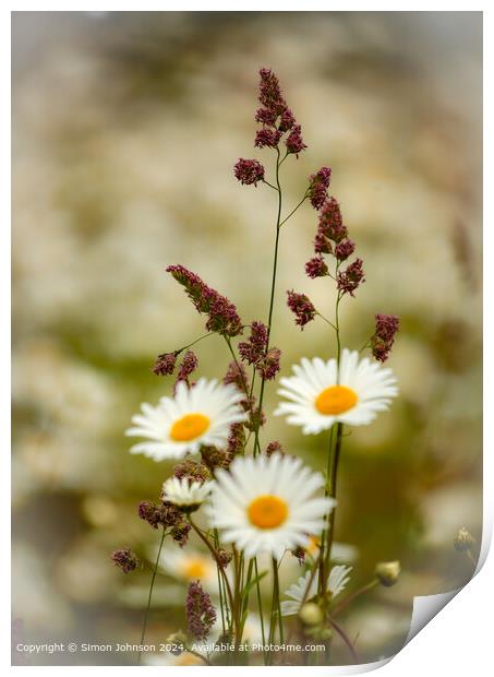 Cotswolds Grass and Daisies Print by Simon Johnson