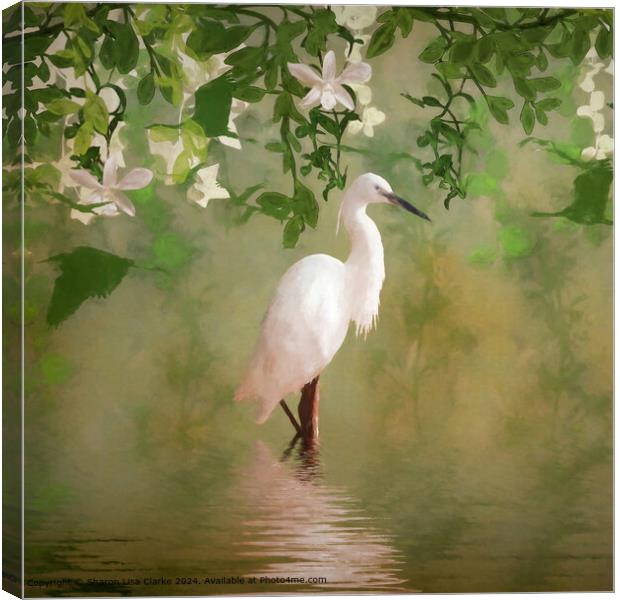 Forest Tranquility Canvas Print by Sharon Lisa Clarke