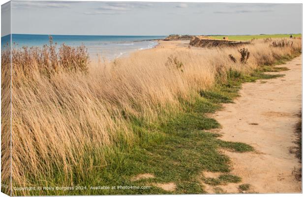 Sand, Sea, and Sky in Winerton-by-the-Sea Canvas Print by Holly Burgess