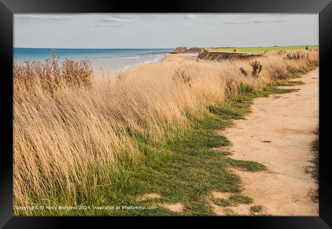 Sand, Sea, and Sky in Winerton-by-the-Sea Framed Print by Holly Burgess