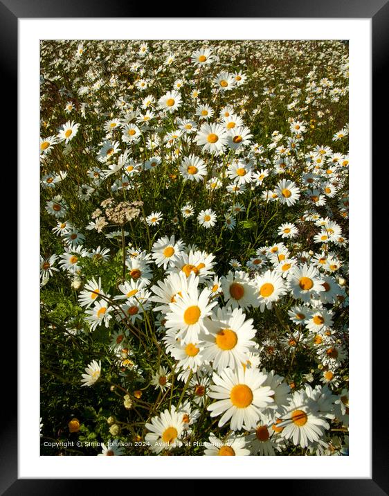 Daisy Flowers Cotswolds Landscape Framed Mounted Print by Simon Johnson