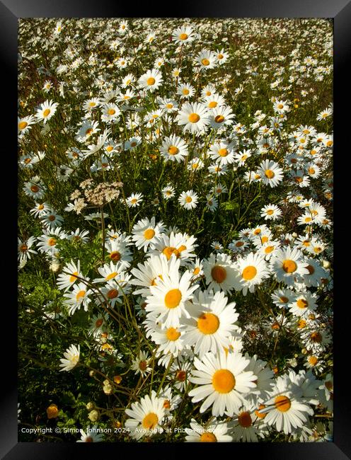 Daisy Flowers Cotswolds Landscape Framed Print by Simon Johnson