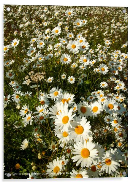Daisy Flowers Cotswolds Landscape Acrylic by Simon Johnson