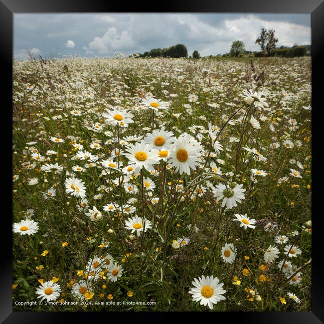 Cotswolds Daisy Field Landscape Framed Print by Simon Johnson