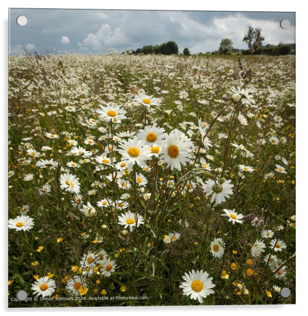 Cotswolds Daisy Field Landscape Acrylic by Simon Johnson