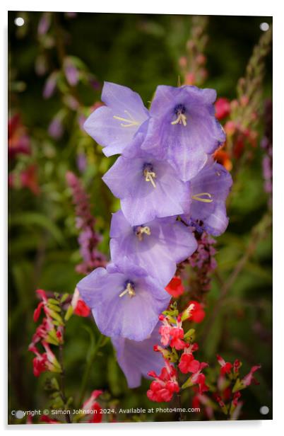 Serene Campanula and Salvia Landscape Acrylic by Simon Johnson