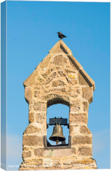 Bird on the bell tower Canvas Print by Ironbridge Images