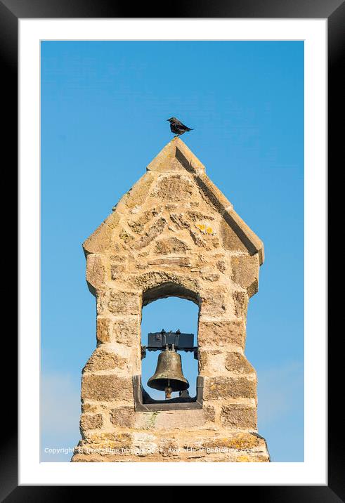 Bird on the bell tower Framed Mounted Print by Ironbridge Images