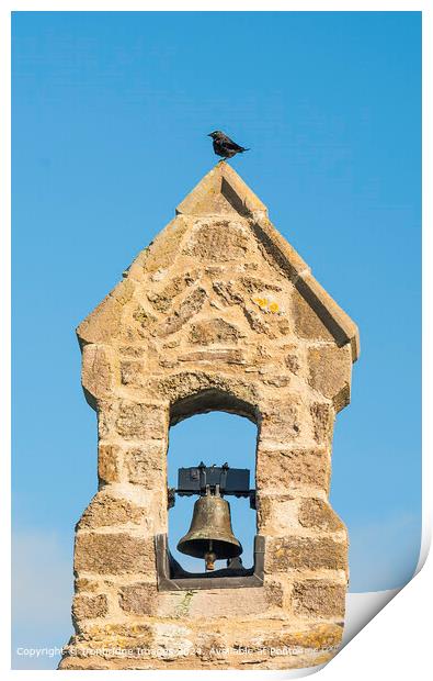 Bird on the bell tower Print by Ironbridge Images