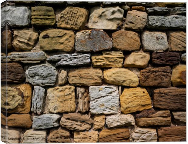 Weathered Rock Texture Abstract Canvas Print by Tom Lloyd