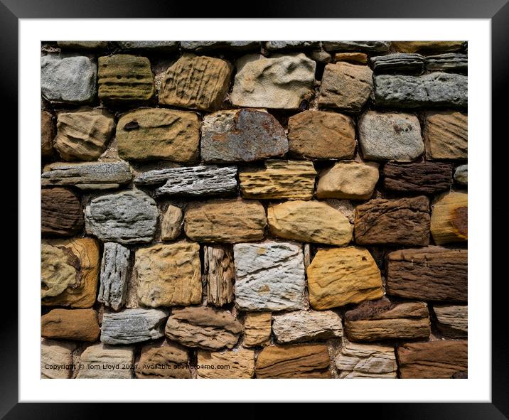 Weathered Rock Texture Abstract Framed Mounted Print by Tom Lloyd