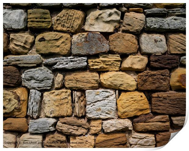 Weathered Rock Texture Abstract Print by Tom Lloyd