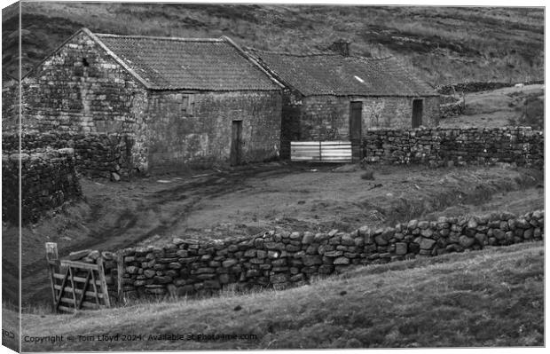 North Yorkshire Moors Agriculture: Derelict Farm Building Canvas Print by Tom Lloyd