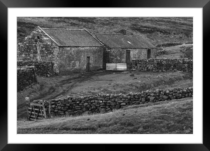 North Yorkshire Moors Agriculture: Derelict Farm Building Framed Mounted Print by Tom Lloyd