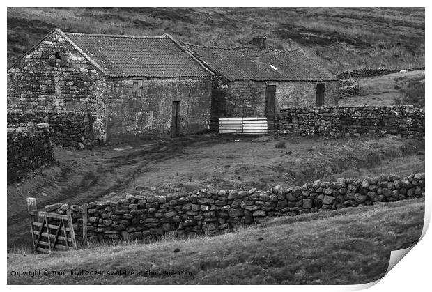 North Yorkshire Moors Agriculture: Derelict Farm Building Print by Tom Lloyd