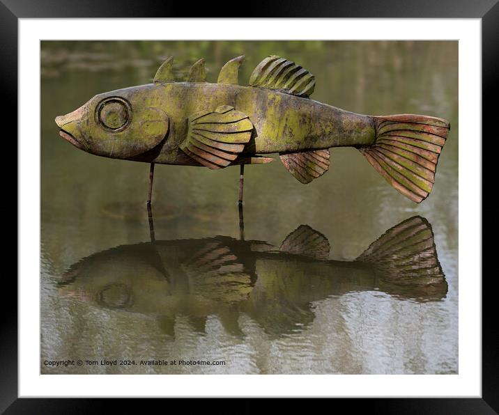 Tranquil Wooden Fish Sculpture Framed Mounted Print by Tom Lloyd