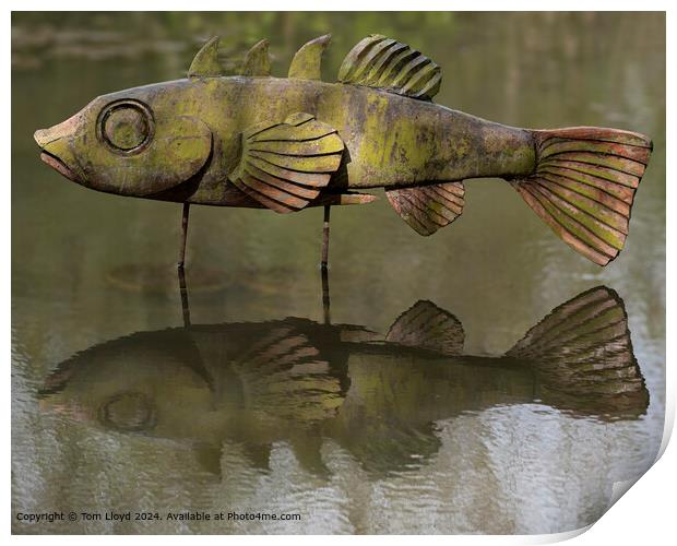 Tranquil Wooden Fish Sculpture Print by Tom Lloyd