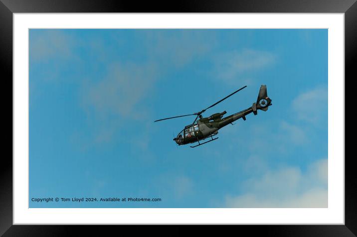 Gazelle Helicopter Flying Framed Mounted Print by Tom Lloyd