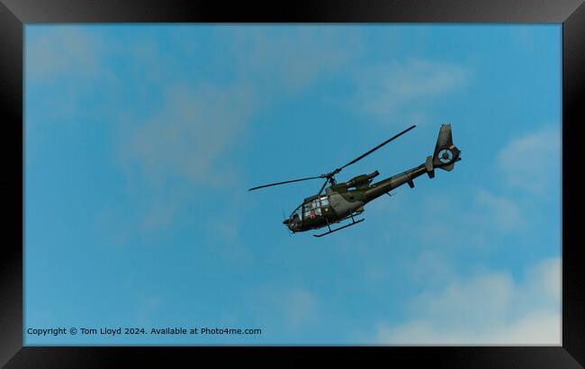 Gazelle Helicopter Flying Framed Print by Tom Lloyd