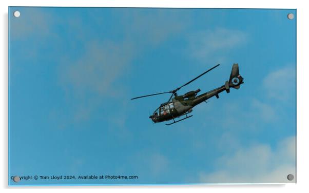 Gazelle Helicopter Flying Acrylic by Tom Lloyd