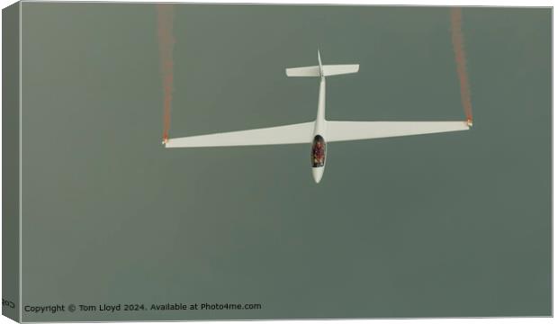 Glider Soaring  Canvas Print by Tom Lloyd