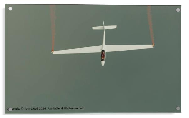 Glider Soaring  Acrylic by Tom Lloyd