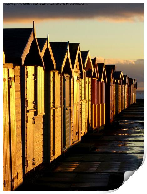 Brightlingsea Beach Huts Print by Chris Petty