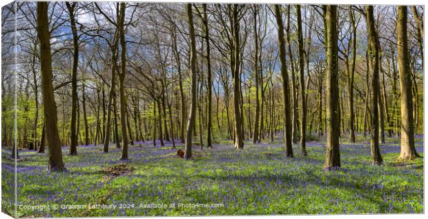 Cotswolds Forest Bluebells Canvas Print by Graham Lathbury