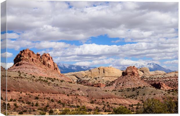 Panoramic View of Capitol Reef National Park's Waterpocket Fold Canvas Print by Madeleine Deaton