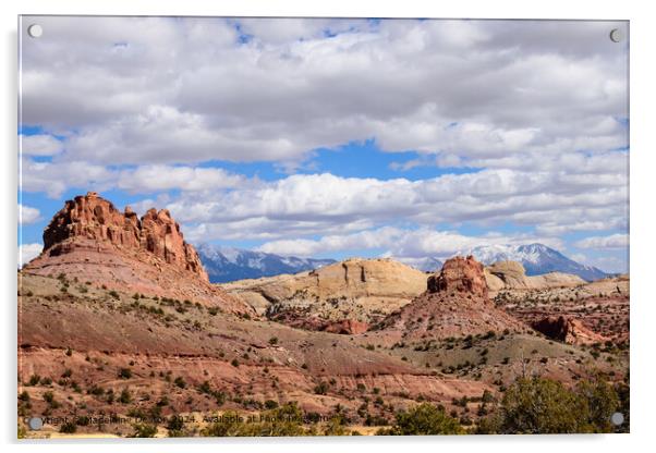 Panoramic View of Capitol Reef National Park's Waterpocket Fold Acrylic by Madeleine Deaton