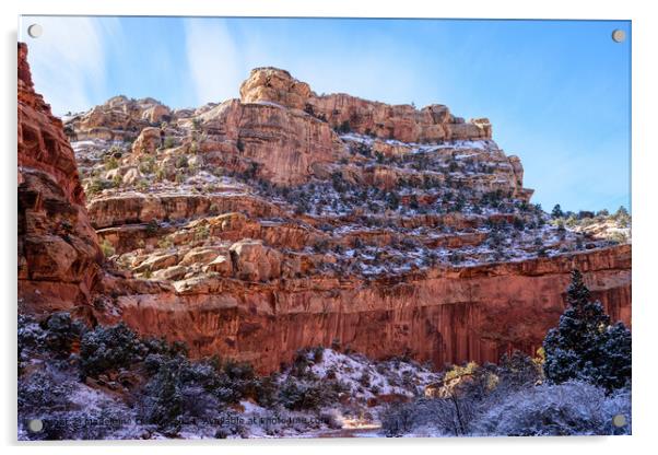 Snow-Covered Rocky Cliffs in Capitol Reef National Park, Utah  Acrylic by Madeleine Deaton