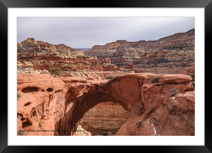 Spectacular View of Cassidy Arch in Capitol Reef National Park, Utah Framed Mounted Print by Madeleine Deaton