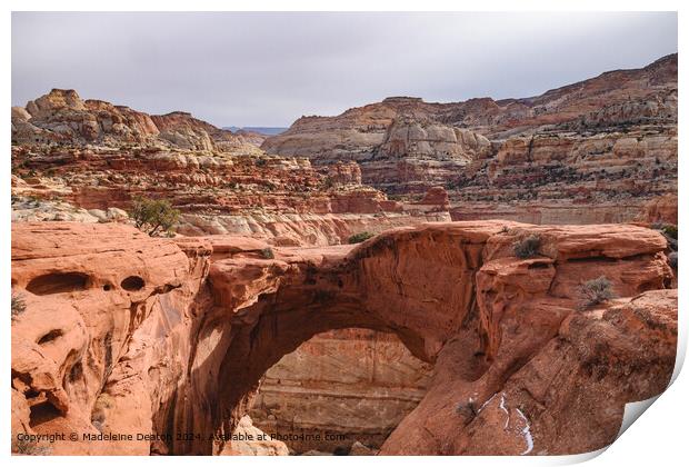 Spectacular View of Cassidy Arch in Capitol Reef National Park, Utah Print by Madeleine Deaton