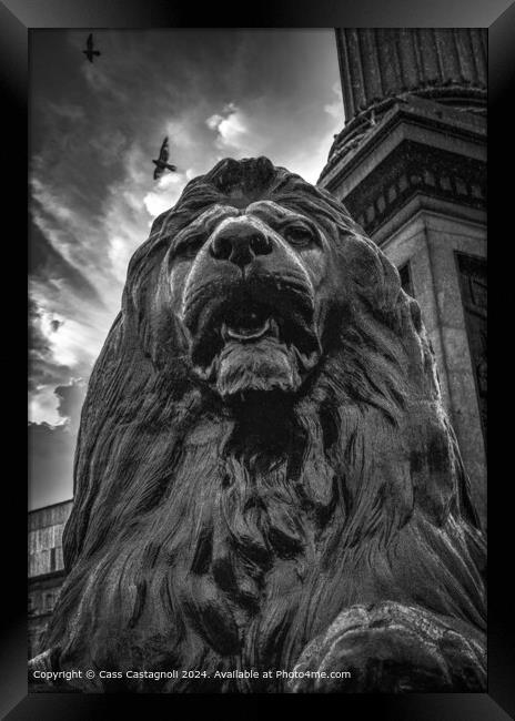 Trafalgar Square Nelson's majestic Lion Framed Print by Cass Castagnoli