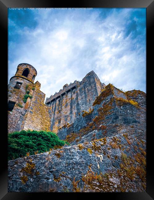 Blarney Castle Ireland Framed Print by Katie Sokald