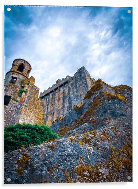 Blarney Castle Ireland Acrylic by Katie Sokald