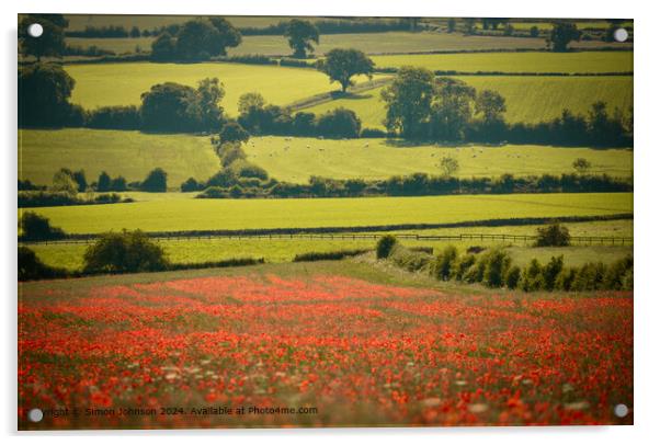 Poppy Field Longborough Cotswolds Acrylic by Simon Johnson