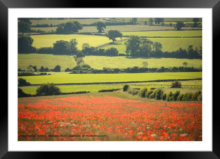 Poppy Field Landscape Longborough, Cotswolds, UK Framed Mounted Print by Simon Johnson