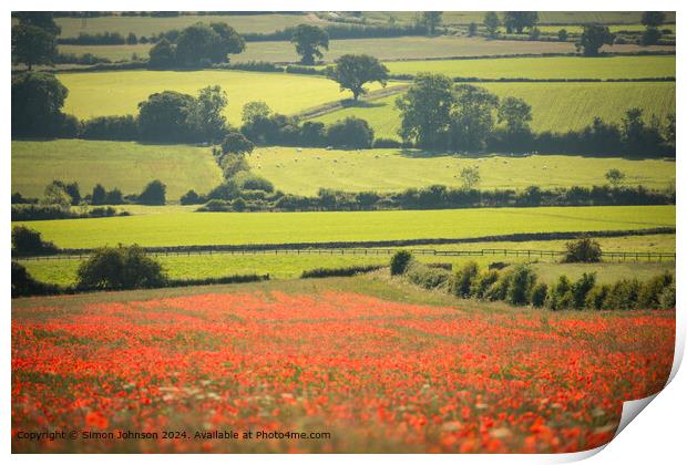 Poppy Field Landscape Longborough, Cotswolds, UK Print by Simon Johnson