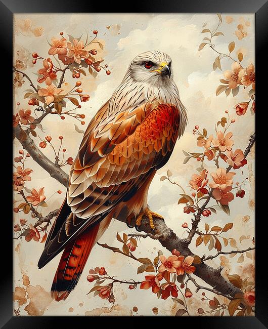 Red Kite Bird Painting Framed Print by Steve Smith