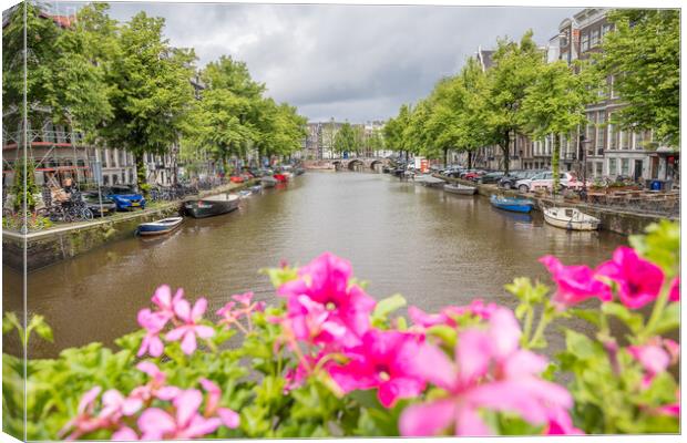 Keizersgracht over pink flowers Canvas Print by Jason Wells