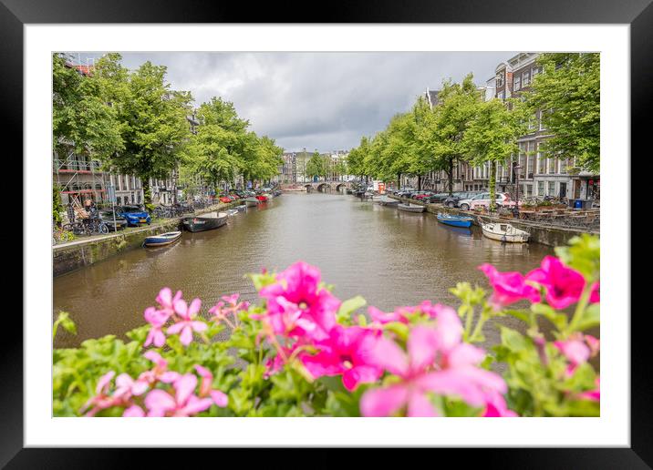 Keizersgracht over pink flowers Framed Mounted Print by Jason Wells