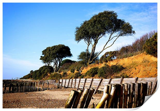 Lepe Country Park Print by Louise Godwin