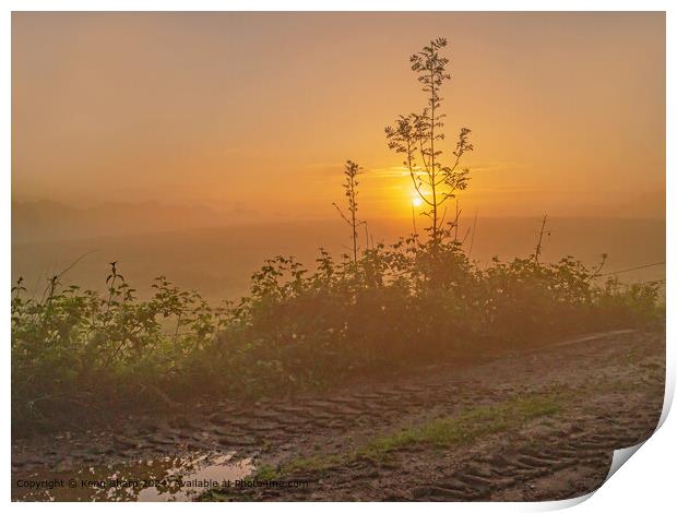 Golden Countryside Dawn Landscape Print by Kenn Sharp
