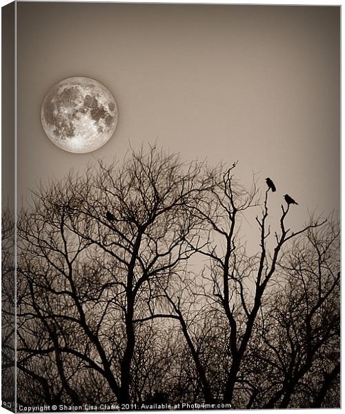 Evening roost Canvas Print by Sharon Lisa Clarke